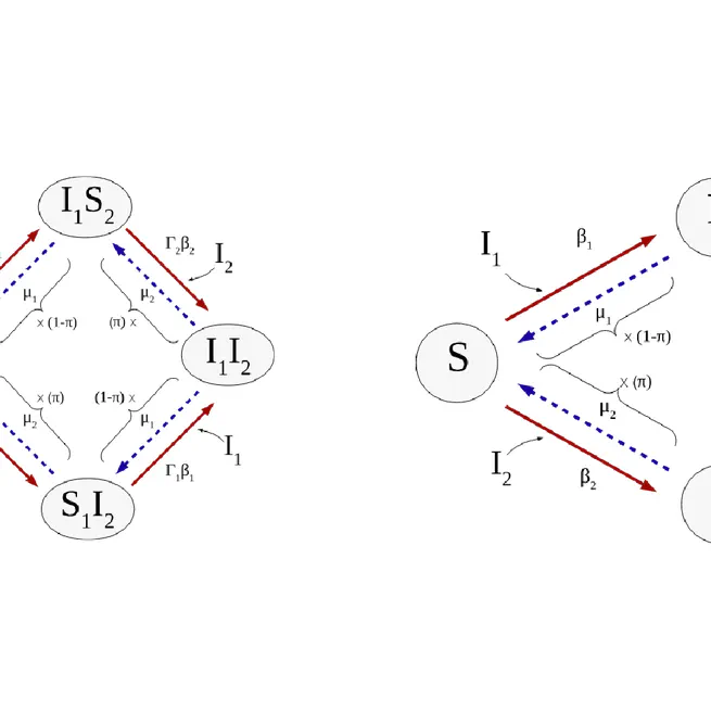Role of Time Scale in the Spreading of Asymmetrically Interacting Diseases